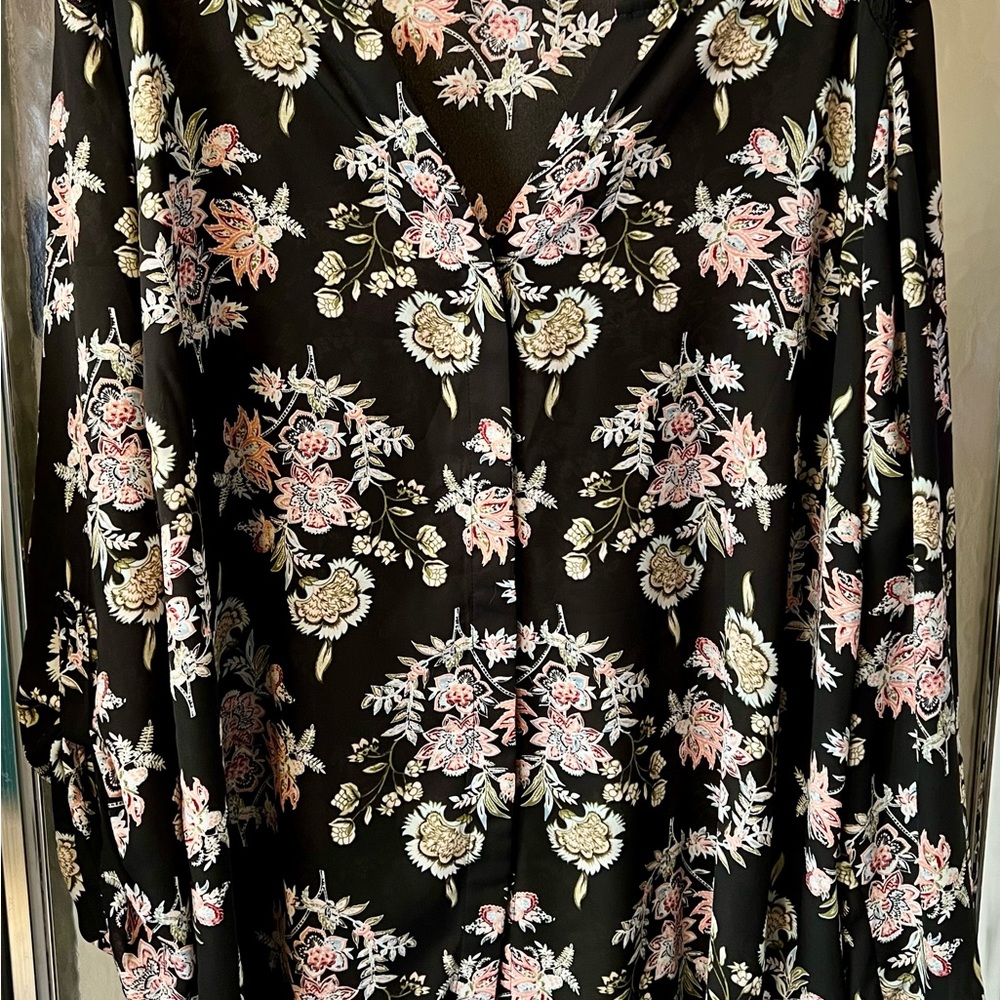 Terra & Sky Women's Button Down Chiffon Blouse
